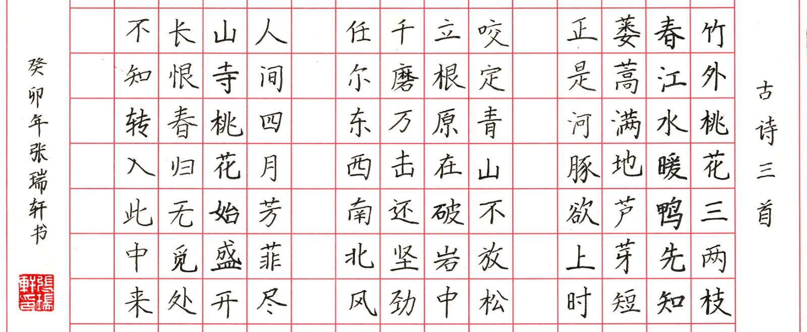 46张瑞轩三年级 拷贝.jpg